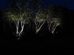 Best Solar Garden Lights Guide Uk 2022