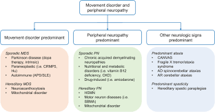 movement disorders and neuropathies