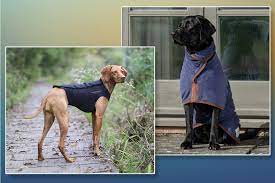 Best Dog Coats 2023 Fleece Waterproof