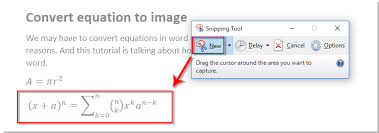how to covert equation to image in word