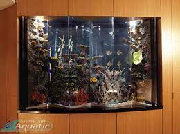Aquarium Home Design Inc gambar png