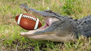 Florida Alligator Spotted Swimming With Football In Mouth | iHeart