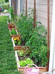 beautiful vegetable garden designs