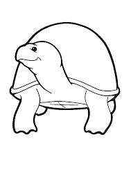 Download fairy tales coloring page. Coloring Page Tortoise Animal Coloring Pages 6