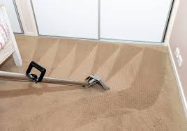 carpet cleaning for new plymouth and