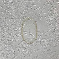 fix water stains on ceiling leaks