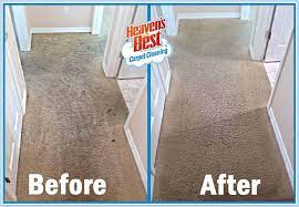 carpet cleaning services that re