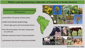 Plants Causing Poisoning Outbreaks Of
