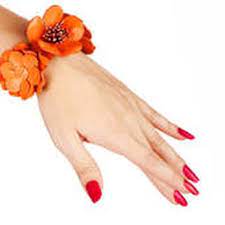 lehighton pennsylvania nail salons