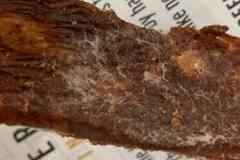 What does mold on jerky look like?