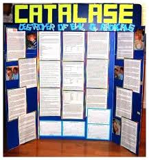 Where To Buy Poster Board For Science Fair A5publicidad Co