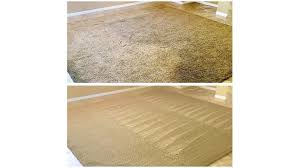 organic carpet cleaning risks defying