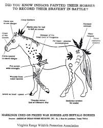 What Certain Markings Meant For Native American War Horses