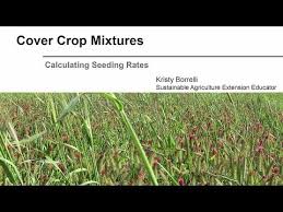 Cover Crop Mixtures Calculating Seeding Rates