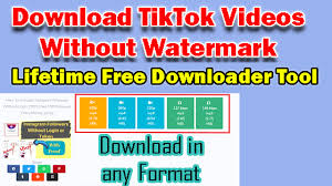 The company that develops video & music downloader for tik tok(no watermark) is video download tool. Download Tiktok Videos Without Watermark Free Online Downloader