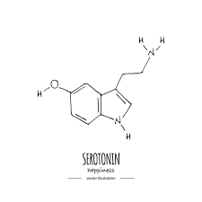123 serotonin chemical formula vector