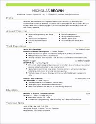 Example Resume Accounting Year Experience New New Good Objective For