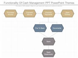 Functionality Of Cash Management Ppt Powerpoint Themes