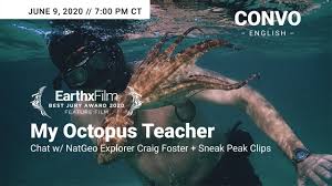 In 2010, the renowned nature filmmaker craig foster started free diving in the icy, brutal ocean waters off the western cape of south africa. My Octopus Teacher Earthxfilm World Ocean Week Trailer On Vimeo