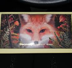 perfect diary red fox eyeshadow palette