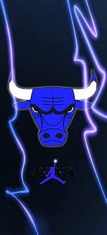 chicago bulls ball basketball blue