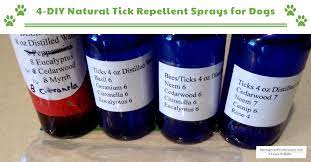 natural essential oil tick repellent