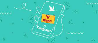 Give them the necessary gift card information. Cards From Wawa Wawa Gift Cards Wawa Credit Card More Wawa