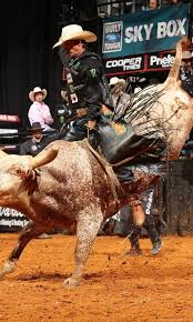 pbr bull riding background hd phone