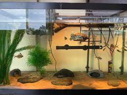 fish tank gallon sizes and dimensions