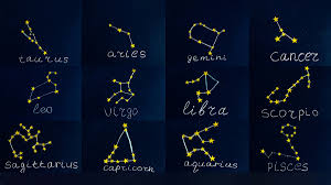 zodiac flowers which flower are you