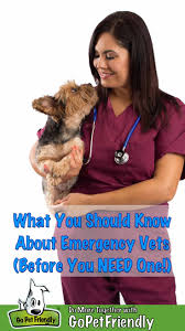 It's the best way to make sure your pet comes back to you if they get lost. What You Should Know About Emergency Vets Before You Need One