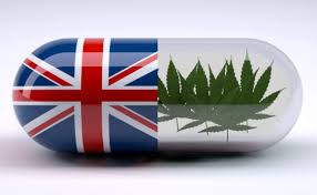 how to buy cannabis online uk,order cannabis near me, wholesale cannabis uk, where to purchase cannabis in uk, cannabis online UK
