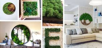 29 Best Moss Wall Art Ideas And Designs