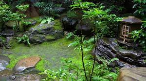 How To Make A Japanese Moss Garden