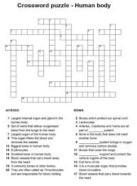 Human Body Crossword Puzzle Crossword Human Body