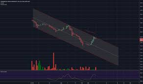 Thcx Stock Price And Chart Amex Thcx Tradingview