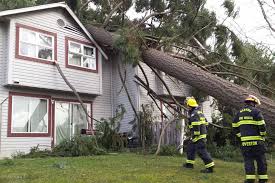 There is a refund when the product comes overdue, damaged or does not arrive at all. Windstorm Topples Tree Onto Townhouse In Nanaimo Parksville Qualicum Beach News