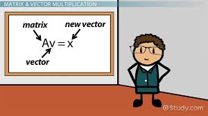 Matrix The Characteristic Equation