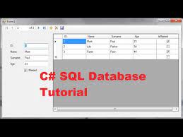 c sql database tutorial 1 how to