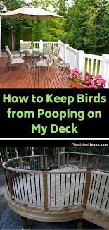 Keep Birds From Pooping On My Deck