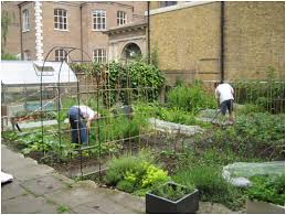 Horticulture Landscaping Roof Gardens