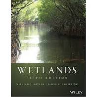 Book cover for <p>Wetlands</p>
