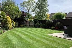 Garden Summer Ready And Let The Lawn