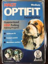 Top Paw Holt Walking Dog Collar For Training Black Large