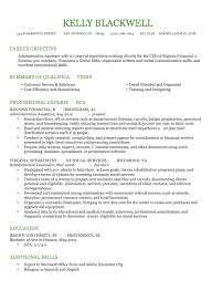 Photo Resume Templates  Professional CV Formats   Resumonk GetReskilled