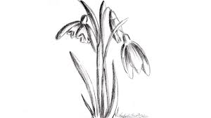 See more ideas about creion, desene artistice, desene. Desen In Creion Cu Ghiocei Desene In Creion De Primavara In Creion How To Draw Snowdrops Youtube