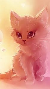 Cute Cartoon Cat Angry Cat Wallpaper