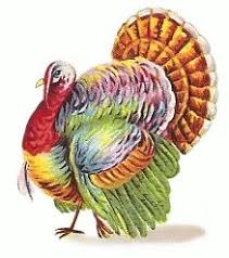 Image result for free turkey pictures