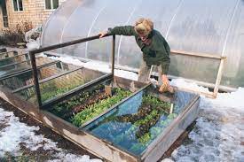 Grow Vegetables All Year Long With Cold
