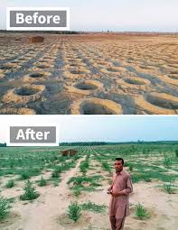 Watch a video featuring the most impressive and breathtaking pictures of tsunamis generated by image editing and photo retouching software.these unreal. See How The 10 Billion Tree Tsunami Tree Planting Campaign Transformed This Area Between 2019 And 2020 Bored Panda